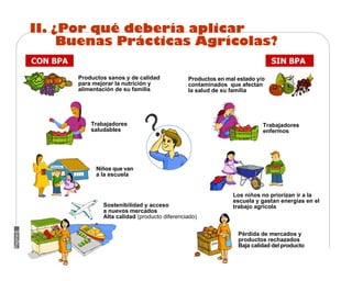 Manual Didactico De Bpa