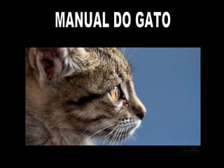 MANUAL DO GATO 
