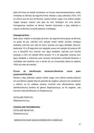 42
Após 48 horas em estufa microbiana, se houver crescimentobacteriano, serão
montadas as lâminas da seguinte forma: flambar a alça calibrada (10²ou 10³)
na chama azul do bico de Bunsen; esperar esfriar; pegar uma colônia isolada
noágar sangue; colocar uma gota de soro fisiológico em uma lâmina;
homogeneizar acolônia na lâmina; flambar novamente a alça calibrada e
colocar as lâminas na estufa atésecar o esfregaço.
Coloraçãode Gram:
Após secar, realizar a coloração de Gram, da seguinte forma:apoiar as lâminas
na grade da pia; cobri-las com solução cristal violeta; lavá-las comágua
destilada; cobrí-las com iodo de Gram; lavá-las com água destilada; descorá-
lasdurante 10 a 30 segundos com agitação suave com solução de acetona (30
mL) e álcool(70 mL); lavá-las com água destilada; cobri-las com fucsina
(solução a 2,5% em álcoola 95%) durante 10 a 30 segundos; lavá-las com
água destilada e colocá-las para secarem temperatura ambiente.Observar a
morfologia das bactérias com o auxílio de um microscópio óptico,na objetiva
100X com óleo de imersão.
Provas de identificação bacteriana:Bactérias cocos gram
positivosCATALASE:
flambar a alça calibrada; esperar esfriar; pegar uma colônia isolada;colocá-la
em uma lâmina; pipetar 25µl do peróxido de oxigênio; colocá-lo em contatocom
a colônia; se for catalase positiva, ocorrerá uma efervescência rápida
identificandouma bactéria do gênero Staphylococcus; se for negativo, não
ocorrerá nada,identificando um Streptococcus.
CATALASE POSITIVA:
Staphylococcus sp.
COAGULASE:NOVOBIOCINA:
CATALASE NEGATIVA:
Streptococcus sp.
SEMEAR EM ÁGAR SANGUEOBSERVAR A HEMÓLISE
 