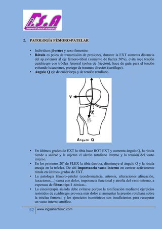 52 www.ingsanantonio.com
2. PATOLOGÍA FÉMORO-PATELAR
• Individuos jóvenes y sexo femenino
• Rótula es polea de transmisión de presiones, durante la EXT aumenta distancia
del ap.extensor al eje fémoro-tibial (aumento de fuerza 50%), evita roce tendón
cuádriceps con tróclea femoral (polea de fricción), hace de guía para el tendón
evitando luxaciones, protege de traumas directos (cartílago).
• Ángulo Q eje de cuádriceps y de tendón rotuliano.
• En últimos grados de EXT la tibia hace ROT EXT y aumenta ángulo Q, la rótula
tiende a salirse y la sujetan el alerón rotuliano interno y la tensión del vasto
interno.
• En los primeros 20º de FLEX la tibia desrota, disminuye el ángulo Q y la rótula
encaja en la tróclea. De ahí importancia vasto interno en centrar activamente
rótula en últimos grados de EXT.
• La patología fémoro-patelar (condromalacia, artrosis, alteraciones alineación,
luxaciones,...) cursa con dolor, impotencia funcional y atrofia del vasto interno, a
expensas de fibras tipo I -tónicas-.
• La cinesiterapia aislada debe evitarse porque la tonificación mediante ejercicios
resistidos de cuádriceps provoca más dolor al aumentar la presión rotuliana sobre
la tróclea femoral, y los ejercicios isométricos son insuficientes para recuperar
un vasto interno atrófico.
 