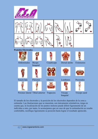 62 www.ingsanantonio.com
Posición Electrodos
Abdominales Biceps
braquial
Cuadriceps Dorsal ancho Extensores
Fascia lata Flexores Gluteos Lumbares Pectorales
Peroneo lateral Tibial anterior Trapecios Triceps
braquial
Triceps sural
El tamaño de los electrodos y la posición de los electrodos dependen de la zona a
estimular. Las ilustraciones que se muestran, son únicamente orientativas, tenga en
cuenta que, la localización de los puntos motores puede diferir ligeramente de un
individuo a otro, por tanto, le aconsejamos que en caso de que la estimulación no resulte
confortable, rectifique ligeramente su posición hasta lograr el resultado apetecido.
 