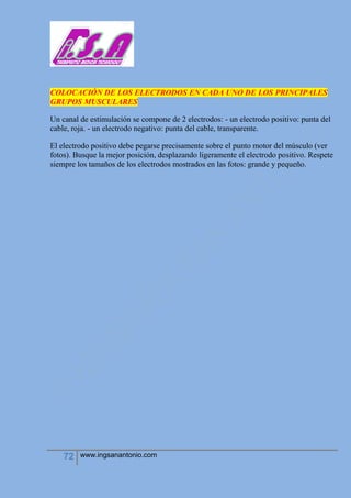 72 www.ingsanantonio.com
COLOCACIÓN DE LOS ELECTRODOS EN CADA UNO DE LOS PRINCIPALES
GRUPOS MUSCULARES
Un canal de estimulación se compone de 2 electrodos: - un electrodo positivo: punta del
cable, roja. - un electrodo negativo: punta del cable, transparente.
El electrodo positivo debe pegarse precisamente sobre el punto motor del músculo (ver
fotos). Busque la mejor posición, desplazando ligeramente el electrodo positivo. Respete
siempre los tamaños de los electrodos mostrados en las fotos: grande y pequeño.
 