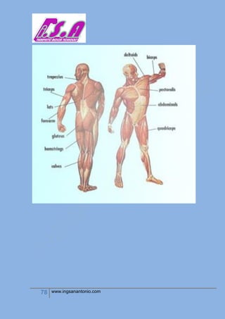 78 www.ingsanantonio.com
 