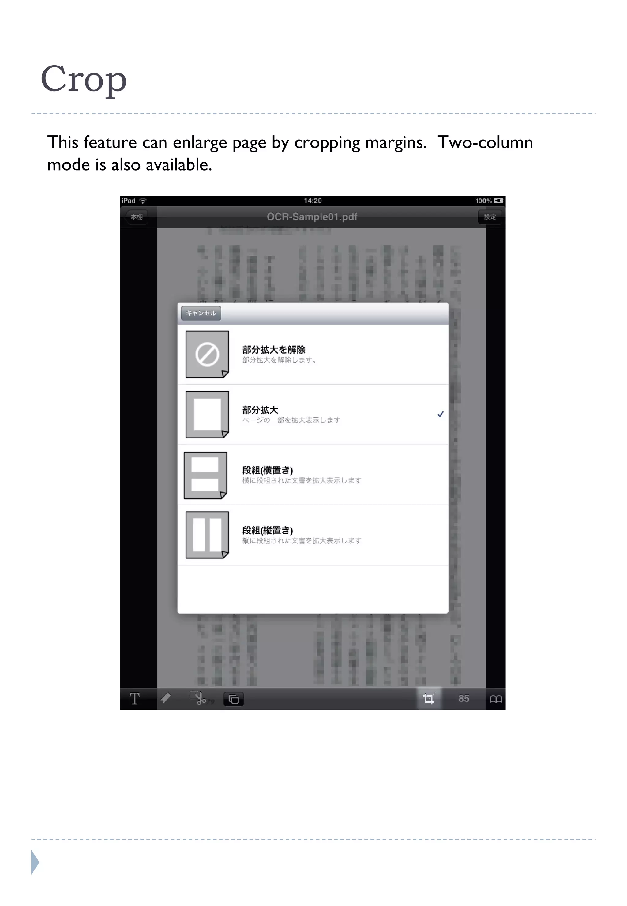 Crop This feature can enlarge page by cropping margins.  Two-column mode is also available. 