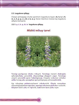 42
2.2. Luqyakuna qillqay
Chawpi qichwapaqa chunka qanchismi luqyankuna kayan: ch, h, k, l, ll,
m, n, ñ, p, q, r, s, sh, t, ts, w, y. Kanan rikarishun imanaw kay luqyakuna
qillqana kashqanta.
2.2.1. p, t, k, q, ch, ts luqyakuna qillqay.
Mishki mikuy tarwi
Tarwiqa pushpunaw chukru mikuymi. Tarwitaqa manami chakrapita
aylluriykurllatsu yanunchik, chaynawllaqa allaapami asqan. Tarwitaqa
unaymi yanunchik qaran hakashqanyaq. Chaypita runkuman wiñarkur
achka hunaq yaku aywaqchaw qamyashqanyaq ushmaraachinchik.
Kay mikuytaqa pichukunachawmi mikukunchik. Chayta maraychaw
shiprashqapapatawanaqariykur,aqashqauchutawanpichurkur ruranchik.
Chaytami tarwi uchu nir riqinchik, wakinnami tarwi pichu niyan.
 