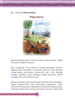 62
3.2. Aw, ay, uy qatikuna qillqay
Papa muruy
Markanchikchawqa llapan runakunami papa muruyta yachayan, imayka
rikuq papa muruytami musyayan.
Papa muruypaqqa mama killataran, imanaw kashqantapis rikanchik.
Papataqa tinkuq killachawshi murukunchik, wakinnami hatun killachaw
millqay-millqay wachananpaq murukunchik niyan. Llullu killachaw
muruyqa rapranllashi wiñan, allashqapis sapilla puqukurkun. Michka
muruytaqa tsaki patsachawmi muruyan.
Manaraq murupakur, llapan qurankunatami ashmankunata michipakuyan.
Chayta ushapakurirnami tsaki achukunatapis kayapakuyan, chakra
kuchunmanmi qutupakuyan, chaychaw ismur patsata wanuchayaananpaq.
Chipyaqta haqiriykurnami parquyan kuchupita kuchuyaq chakrata alliq
 