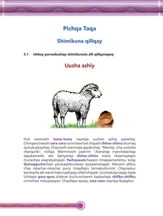 84
Pichqa Taqa
Shimikuna qillqay
5.1 Ishkay purwakashqa shimikunata alli qillqanapaq
Uusha ashiy
Huk wamrashi tuma-tuma naanipa uushan ashiq aywañaq.
Chimpanchawshi sara-sara rurinchaw huk shipash chiina-chiina shumaq
qutsukuykaañaq. Chaynashi wamraqa qayakuñaq: “Mamáy, icha uushata
rikarqunki”, nishpa. Warminashi yaskirin: “¡Kananqa manchakashqa
tapukamanki, aw! Qanyanqa chiina-chiina mana rikaamaytapis
munashpa waqratyarqayki. Yachaywasichawpis rimapaamankitsu, tutay
Quñuqquchachaw yanasaykikunawan asipaamarqayki. Manami allitsu
chay nikachar-nikachar puriy. Imayllapis tarinakushunmi. Chayraykur
kananpita alli warmi kakunaykipaq willarishqayki. Uushaykiqa taqay tayta
Ushtapa qura-qura chakran kuchunchawmi kaykashqa, shillku-shillku
rurinchaw mikuykaayan. Chayllapa ayway, sasa-sasa naanipa lluqaykur.
 