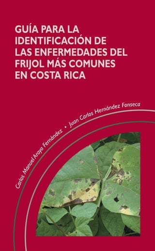 Guía para la
identificación de
las enfermedades del
frijol más comunes
en Costa Rica
CarlosManuelAraya
Fe
rnández
•
Juan Carlos Hernández Fonseca
 