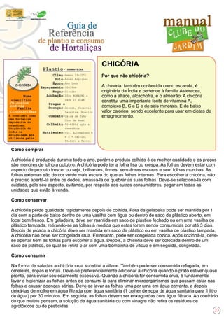 Como comprar
A chicória é produzida durante todo o ano, porém o produto colhido é de melhor qualidade e os preços
são menores de julho a outubro. A chicória pode ter a folha lisa ou crespa. As folhas devem estar com
aspecto de produto fresco, ou seja, brilhantes, firmes, sem áreas escuras e sem folhas murchas. As
folhas externas são de cor verde mais escuro do que as folhas internas. Para escolher a chicória, não
é preciso apertá-la entre os dedos, amassá-la ou quebrar as suas folhas. Deve-se selecioná-la com
cuidado, pelo seu aspecto, evitando, por respeito aos outros consumidores, pegar em todas as
unidades que estão à venda.
Como conservar
A chicória perde qualidade rapidamente depois de colhida. Fora da geladeira pode ser mantida por 1
dia com a parte de baixo dentro de uma vasilha com água ou dentro de saco de plástico aberto, em
local bem fresco. Em geladeira, deve ser mantida em saco de plástico fechado ou em uma vasilha de
plástico tampada, retirando-se as folhas à medida que estas forem sendo consumidas por até 3 dias.
Depois de picada a chicória deve ser mantida em saco de plástico ou em vasilha de plástico tampada.
A chicória não deve ser congelada crua. Entretanto, pode ser congelada cozida. Após cozinhá-la, deve-
se apertar bem as folhas para escorrer a água. Depois, a chicória deve ser colocada dentro de um
saco de plástico, do qual se retira o ar com uma bombinha de vácuo e em seguida, congelada.
Como consumir
Na forma de saladas a chicória crua substitui a alface. Também pode ser consumida refogada, em
omeletes, sopas e tortas. Deve-se preferencialmente adicionar a chicória quando o prato estiver quase
pronto, para evitar seu cozimento excessivo. Quando a chicória for consumida crua, é fundamental
lavar e higienizar as folhas antes de consumi-la para eliminar microorganismos que possam estar nas
folhas e causar doenças sérias. Deve-se lavar as folhas uma por uma em água corrente, e depois
deixá-las de molho em água filtrada com água sanitária (1 colher de sopa de água sanitária para 1 litro
de água) por 30 minutos. Em seguida, as folhas devem ser enxaguadas com água filtrada. Ao contrário
do que muitos pensam, a solução de água sanitária ou com vinagre não retira os resíduos de
agrotóxicos ou de pesticidas.
CHICÓRIA
Por que não chicória?
A chicória, também conhecida como escarola, é
originária da Índia e pertence à família Asteracea,
como a alface, alcachofra, e o almeirão. A chicória
constitui uma importante fonte de vitamina A,
complexo B, C e D e de sais minerais. É de baixo
valor calórico, sendo excelente para usar em dietas de
emagrecimento.
Ameno 12-22ºC
Areno Argiloso
Ano Todo
30x30cm
Diárias
100g BOKASHI a
cada 20 dias
Lesmas, Caracóis
Lagartas, Mosaico
Calda de fumo
Óleo de Neen
50-8090d após a
semeadura
Vit. A,Complexo B
e C + Cálcio,
Fósforo e Ferro.
É considera como
uma hortaliça
depurativa do
organismo.
Originária da
índia na
antiguidade era
utilizada pelos
Chicorium
endivia
Cichorioideas
- SEMENTEIRA
23
 