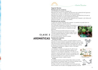 11
C LASE 2
AROMÁTICAS
Soporte Técnico
Multiplicación de aromáticas.
Las aromáticas se pueden propagar por:
Reproducción sexual: los órganos reproductores de la planta (la flor) generan
semillas de las cuales se obtendrán las futuras plantas.
Reproducción asexual: no intervienen los órganos reproductores sino que se
multiplica utilizando una parte vegetativa de la planta.
Hay diferentes tipos de multiplicación vegetativa, por esqueje o por estaca, por
división de matas, por acodo y por bulbos.
Multiplicación por semillas
La época de siembra depende de la especie. La siembra se puede hacer en
almácigo-trasplante o siembra directa.
Para almácigo trasplante se utilizan contenedores, recipientes, vasitos, cajones,
macetas con un buen sustrato donde se va a dejar
desarrollar la planta hasta su trasplante al lugar
definitivo.
Para el sistema de siembra directa en el lugar
definitivo se siembran las semillas y luego una vez
crecida la plántula debemos ralear y repicar para
que las plantitas se desarrollen.
Se utiliza para perejil, cilantro y eneldo.
Multiplicación vegetativa
División de matas
Este método consiste en dividir una planta adulta en varias
plantitas, la mata se divide cuidando de no dañar raíces y tallos
y de esta forma se obtienen plantitas compuestas por raíz, tallo
y hojas que favorecerá un desarrollo más rápido de la planta.
Se utiliza para multiplicar orégano, menta y estragón.
Esquejes o estacas
Los esquejes o estacas son gajos de 15 a 20 cm que
se cortan de las ramas de las plantas adultas y se
disponen en un estaquero separado a 15 a 20 cm o en
macetas o vasitos hasta que enraícen y se puedan tras-
plantar. Es importante tener un buen sustrato para los
recipientes donde se van a colocar las estacas.
Se utiliza para romero, cedrón y laurel.
Acodos
El acodado consiste en hacer desarrollar raíces a un tallo
sin separarlo de la planta madre. Se utiliza en plantas cuyos
tallos forman raíces como el tomillo y el poleo.
Se elige un tallo o una vara flexible y se la curva para que
tome contacto con el suelo, se le agrega sustrato y una vez
 