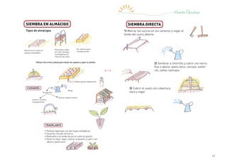 17
3| Cubrir el suelo con cobertura
seca y regar
1| Marcar los surcos en los canteros y regar el
fondo del surco abierto.
2| Sembrar a chorrillo y cubrir con tierra
fina o abono: pasto seco, cenizas, estiér-
col, cañas rastrojos.
SIEMBRA DIRECTA
SIEMBRA EN ALMÁCIGO
• Plantas vigorosas con dos hojas verdaderas
• Sacarlas con pan de tierra
• Realizarlo a la tardecita así no sufre el plantín
• Hacer el hoyo, regar, colocar el plantín y cubrir con
abono y pasto seco
Tipos de almácigos
Directo en el suelo en
lugares protegidos
Altos para traba-
jar más cómodos
y protegerlos de
insectos de suelo
En cajones para
transportarlos
Utilizar tierra fina o abono para llenar los cajones y tapar la semilla
5 cm o 3 dedos aproximadamente
CUIDADOS
Riego
Protección:
Verano media sombra
Invierno túneles
transparentes
TRASPLANTE
 