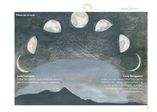 19
Luna Creciente
todas las plantas que crecen en altura y
dan frutos (tomates, arvejas, porotos).
Luna Menguante
todas las que desarrollan bajo tierra
(zanahorias, papas, remolachas) y al
ras de la tierra (lechugas, acelgas,
espinacas) para que no florezcan
prematuramente.
Fases de la luna
 