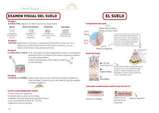 30
EL SUELO
EXAMEN VISUAL DEL SUELO
Prueba 1
ESTRUCTURA: Agarrar un terrón de tierra y desarmarlo
Óptima
se desgrana
fácilmante en
grumos
Buena, leve desgaste
se quiebra en
terrones
irregulares
Desgastada
se quiebra en
terrones de forma
recta
Degradada
se desgrana de
forma laminar
Prueba 2
TEXTURA: Agarramos un terrón y lo amasamos formando un choricito. Si lo
logramos sin dificultad la tierra es de textura arcillosa, si no se
forma es de textura más gruesa, arenosa.
Prueba 3
LA VIDA EN EL SUELO: Tirar unas gotas de agua oxigenada al suelo, si se producen
burbujas es por la presencia de materia orgánica y organis-
mos descomponedores.
Cuanto más burbujas, más materia orgánica
y más fertilidad.
Prueba 4
COLOR DE LA TIERRA: Cuánto más oscura, más contenido de materia orgánica y
más fertilidad. Si está clarita, color ladrillo hay que agregar-
le materia orgánica.
• Tiene costra en superficie.
• Levanta polvo cuando se la trabaja.
• Quedan cascotes después de pasado el disco.
• Las raíces penetran poco (8 - 10 cm).
• Aparecen surcos y grietas.
25 %
Agua
45 %
Materiales Sólidos
(arena, arcilla, limo)
25 %
Aire
5 %
Materia Orgánica
Composición del suelo
Es el resultado de la descom-
posición de los restos vegeta-
les y animales que se produce
por los microorganismos del
suelo ( la vida del suelo)
Perfil del Suelo
A - 20 CM
Donde viven los descomponedores en
contacto con el aire necesario para
producir materia orgánica que da
fertilidad a nuestro suelo y permite
crecer una planta sana.
Capa Superficial
C
Roca Madre
B
Capa Arcillosa
Suelo sin trabajar
Suelo con el
pan de tierra
invertido
¿Que pasa cuando damos vuelta el pan de tierra?
Sube la capa B!!!
La tierra está desgastada cuando
 