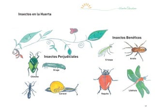 37
Hormiga
Insectos Benéficos
Insectos Perjudiciales
Insectos en la Huerta
Chinche
Crisopa
Vaquita
Oruga
Araña
Caracol
Libélula
 