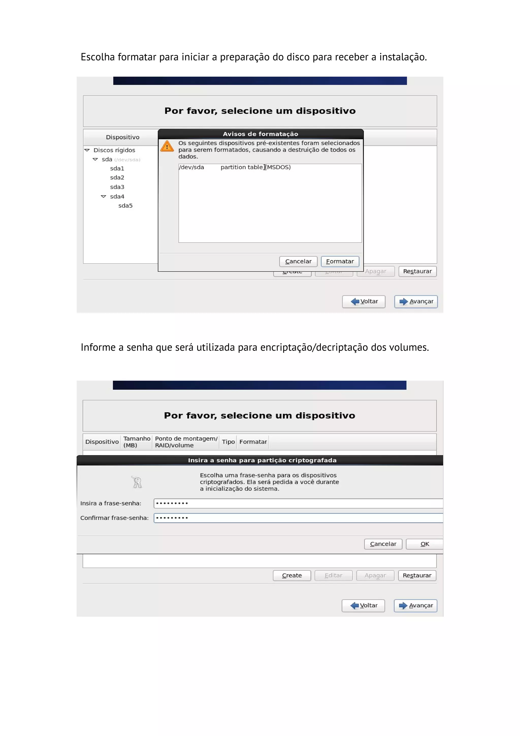 Escolha formatar para iniciar a preparação do disco para receber a instalação.




Informe a senha que será utilizada para encriptação/decriptação dos volumes.
 