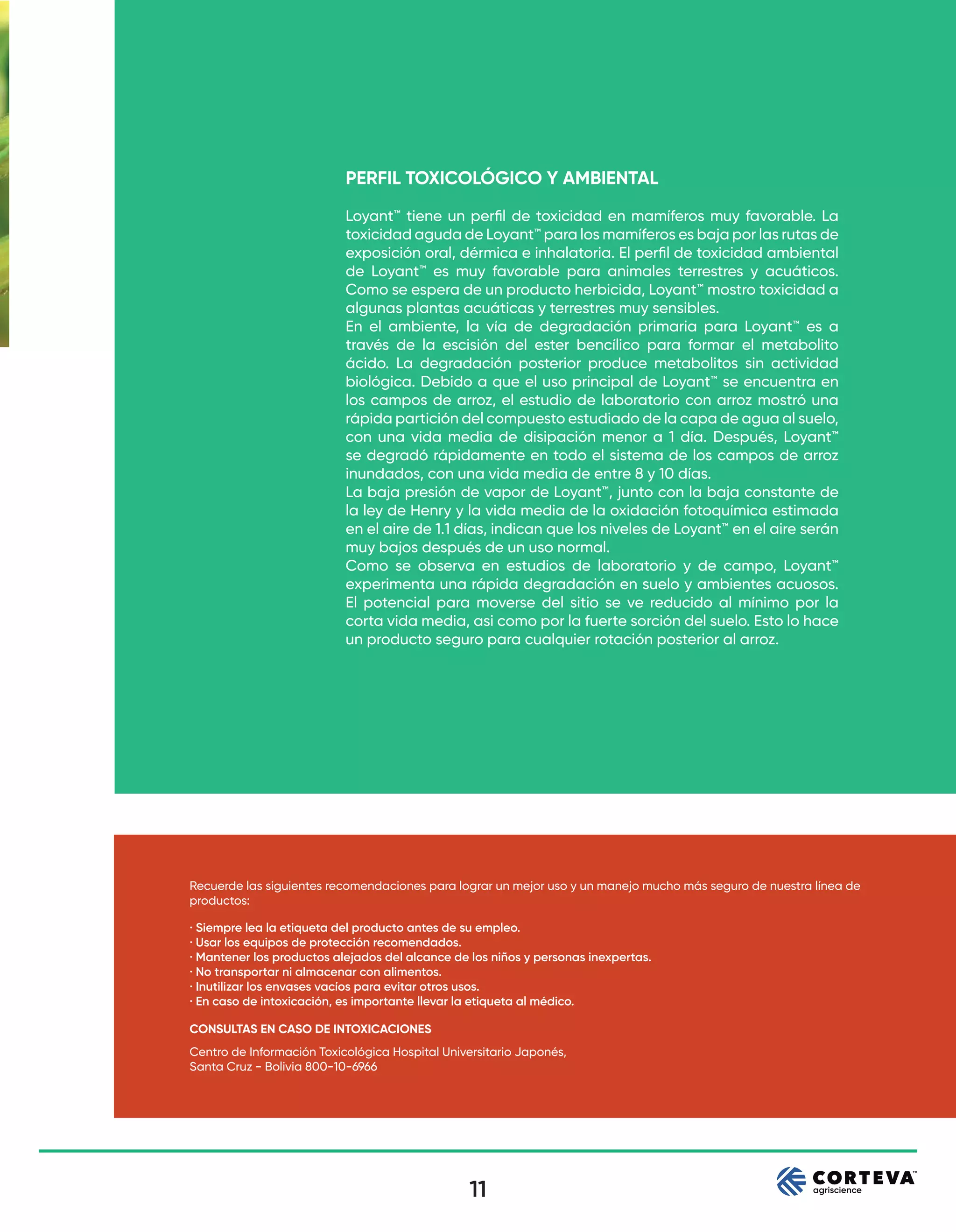 11
PERFIL TOXICOLÓGICO Y AMBIENTAL
Loyant™ tiene un perﬁl de toxicidad en mamíferos muy favorable. La
toxicidad aguda de Loyant™ para los mamíferos es baja por las rutas de
exposición oral, dérmica e inhalatoria. El perﬁl de toxicidad ambiental
de Loyant™ es muy favorable para animales terrestres y acuáticos.
Como se espera de un producto herbicida, Loyant™ mostro toxicidad a
algunas plantas acuáticas y terrestres muy sensibles.
En el ambiente, la vía de degradación primaria para Loyant™ es a
través de la escisión del ester bencílico para formar el metabolito
ácido. La degradación posterior produce metabolitos sin actividad
biológica. Debido a que el uso principal de Loyant™ se encuentra en
los campos de arroz, el estudio de laboratorio con arroz mostró una
rápida partición del compuesto estudiado de la capa de agua al suelo,
con una vida media de disipación menor a 1 día. Después, Loyant™
se degradó rápidamente en todo el sistema de los campos de arroz
inundados, con una vida media de entre 8 y 10 días.
La baja presión de vapor de Loyant™, junto con la baja constante de
la ley de Henry y la vida media de la oxidación fotoquímica estimada
en el aire de 1.1 días, indican que los niveles de Loyant™ en el aire serán
muy bajos después de un uso normal.
Como se observa en estudios de laboratorio y de campo, Loyant™
experimenta una rápida degradación en suelo y ambientes acuosos.
El potencial para moverse del sitio se ve reducido al mínimo por la
corta vida media, asi como por la fuerte sorción del suelo. Esto lo hace
un producto seguro para cualquier rotación posterior al arroz.
Recuerde las siguientes recomendaciones para lograr un mejor uso y un manejo mucho más seguro de nuestra línea de
productos:
Centro de Información Toxicológica Hospital Universitario Japonés,
Santa Cruz - Bolivia 800-10-6966
CONSULTAS EN CASO DE INTOXICACIONES
· Siempre lea la etiqueta del producto antes de su empleo.
· Usar los equipos de protección recomendados.
· Mantener los productos alejados del alcance de los niños y personas inexpertas.
· No transportar ni almacenar con alimentos.
· Inutilizar los envases vacíos para evitar otros usos.
· En caso de intoxicación, es importante llevar la etiqueta al médico.
 