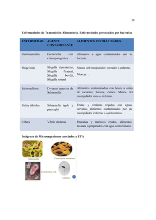 18
18
Enfermedades de Transmisión Alimentaria. Enfermedades provocadas por bacterias
ENFERMEDAD AGENTE ALIMENTOS INVOLUCRADOS
CONTAMINANTE
Gastroenteritis Escherichia coli Alimentos o agua contaminados con la
enteropatogénica bacteria.
Shigellosis Shigella dysenteriae,
Shigella flexneri,
Shigella boydii,
Shigella sonnei
Manos del manipulador portador o enfermo.
Moscas.
Salmonellosis Diversas especies de
Salmonella
Alimentos contaminados con heces u orina
de roedores; huevos, carnes. Manos del
manipulador sano o enfermo.
Fiebre tifoidea Salmonella typhi y
paratyphi
Frutas y verduras regadas con aguas
servidas, alimentos contaminados por un
manipulador enfermo o asintomático.
Cólera Vibrio cholerae Pescados y mariscos crudos, alimentos
lavados o preparados con agua contaminada.
Imágenes de Microorganismos asociados a ETA
 