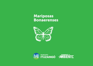Mariposas
Bonaerenses
 