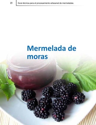 20 Guía técnica para el procesamiento artesanal de mermeladas20
Mermelada de
moras
 