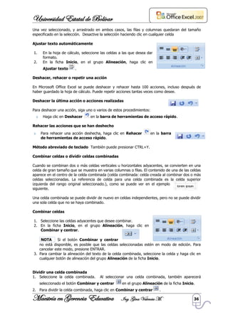 Manual Microsoft Excel
