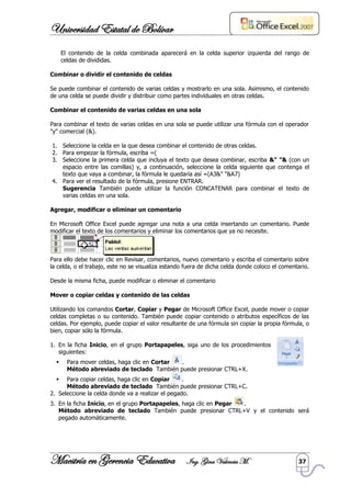 Manual Microsoft Excel
