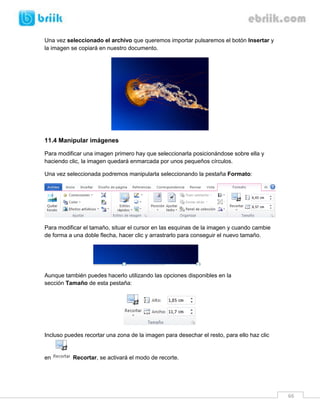 66 
Una vez seleccionado el archivo que queremos importar pulsaremos el botón Insertar y la imagen se copiará en nuestro documento. 
11.4 Manipular imágenes 
Para modificar una imagen primero hay que seleccionarla posicionándose sobre ella y haciendo clic, la imagen quedará enmarcada por unos pequeños círculos. 
Una vez seleccionada podremos manipularla seleccionando la pestaña Formato: 
Para modificar el tamaño, situar el cursor en las esquinas de la imagen y cuando cambie de forma a una doble flecha, hacer clic y arrastrarlo para conseguir el nuevo tamaño. 
Aunque también puedes hacerlo utilizando las opciones disponibles en la sección Tamaño de esta pestaña: 
Incluso puedes recortar una zona de la imagen para desechar el resto, para ello haz clic en Recortar, se activará el modo de recorte.  