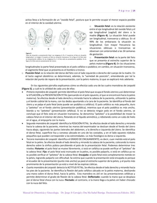 P á g i n a | 14
Manual de Obstetricia y Ginecología. Dr. Jorge A Carvajal y Dra Ma Isabel Barriga. Decimotercera Edición. 2022.
activa lleva a la formación de un “ovoide fetal”, postura que le permite ocupar el menor espacio posible
en el interior de la cavidad uterina.
o Situación fetal: es la relación existente
entre el eje longitudinal del ovoide fetal y el
eje longitudinal (sagital) del útero o la
madre (Figura 4). La situación fetal puede
ser longitudinal, transversa u oblicua. En el
99% de los embarazos la situación es
longitudinal. Con mayor frecuencia las
situaciones oblicuas o transversas se
observan con anterioridad a las 34 semanas
de gestación.
o Presentación fetal: es la parte del feto
que se presenta al estrecho superior de la
pelvis materna (Figura 4). En las situaciones
longitudinales la parte fetal presentada es el polo cefálico o podálico; en cambio, en situación transversa,
el segmento fetal que se presenta es el hombro o tronco.
o Posición fetal: es la relación del dorso del feto con el lado izquierdo o derecho del cuerpo de la madre. En
el tacto vaginal obstétrico se determinará, además, la “variedad de posición”, entendiendo por tal la
relación del punto de reparo de la presentación, con la pelvis materna, lo que se explicará más adelante.
En los siguientes párrafos explicamos cómo se efectúa cada una de las cuatro maniobras de Leopold
(Figura 5), y cuál es la utilidad de cada una de ellas:
• Primera maniobra de Leopold: permite identificar el polo fetal que ocupa el fondo uterino y así determinar
la SITUACIÓN y la PRESENTACIÓN FETAL (pensando en el polo opuesto, el que se encontrará hacia la pelvis
materna). Se efectúa desde el lado derecho y mirando hacia la cabeza de la paciente, utilizando la palma
y el borde cubital de la mano, con los dedos apuntando a la cara de la paciente. Se identifica el fondo del
útero y se palpa el polo fetal (este puede ser podálico o cefálico). El polo cefálico es más pequeño, duro
y “pelotea” en el fondo uterino (presentación podálica), mientras que el polo podálico es más ancho,
blando y no “pelotea” (presentación cefálica). Si no se detecta ningún polo en el fondo uterino, se
concluye que el feto está en situación transversa. Se denomina “peloteo” a la posibilidad de mover la
cabeza fetal en el interior del útero, flotando en el líquido amniótico, y rebotando como un cubo de hielo
en el agua, al empujarla con la mano.
• Segunda maniobra de Leopold: identifica la POSICIÓN FETAL. Se efectúa desde el lado derecho y mirando
hacia la cabeza de la paciente, mientras las manos del examinador se deslizan desde el fondo del útero
hacia abajo, siguiendo las partes laterales del abdomen, a la derecha e izquierda del útero. Se identifica
el dorso fetal, superficie lisa y convexa ubicada en uno de los costados, y en el lado opuesto nódulos
pequeños que pueden corresponder a las extremidades. Lo más fisiológico es dorso a izquierda.
• Tercera maniobra de Leopold: identifica el GRADO DE ENCAJAMIENTO, es decir, cuan metido está el polo
fetal en la pelvis. Se efectúa desde el lado derecho y mirando la cabeza de la paciente, colocando la mano
derecha sobre la sínfisis púbica percibiendo el polo de la presentación fetal. Podemos determinar tres
niveles: Flotante: el polo fetal se mueve libremente, si está en cefálica se puede verificar el “peloteo” de
la cabeza fetal. Fijo: el polo fetal está insinuado en la pelvis, es posible palparlo, si está en cefálica ya no
es posible verificar el “peloteo” de la cabeza fetal. Encajada: el polo fetal está completamente metido en
la pelvis, logrando palparlo con dificultad. Se estima que cuando la presentación está encajada es porque
el ecuador de la presentación (punto más ancho) ya pasó el estrecho superior de la pelvis, y el punto más
prominente de la presentación ya está a nivel de las espinas ciáticas.
• Cuarta maniobra de Leopold: detecta la ACTITUD FETAL. Se efectúa desde el lado derecho y mirando hacia
los pies de la paciente. Se identifica la flexión del polo cefálico ubicado en la pelvis materna, deslizando
una mano sobre el dorso fetal, hacia la pelvis. Esta maniobra es útil en las presentaciones cefálicas y
permite determinar el grado de flexión de la cabeza fetal. Deflectado: cuando la mano que se desplaza
por el dorso fetal choca con la nuca. Flectado: al contrario, si la mano llega a la pelvis sin haber chocado
con la nuca del feto.
 