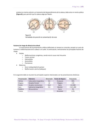 P á g i n a | 171
Manual de Obstetricia y Ginecología. Dr. Jorge A Carvajal y Dra Ma Isabel Barriga. Decimotercera Edición. 2022.
produce en mento-anterior y al momento del desprendimiento de la cabeza, debe estar en mento-púbica
(Figura 8), para permitir que la cabeza salga por flexión.
Factores de riesgo de distocia de actitud
La causa precisa de la presentación cefálica deflectada no siempre es conocida, excepto en casos de
tumores o malformaciones de la cabeza o el cuello. A continuación, mencionamos los principales factores de
riesgo:
• Fetales
o Malformaciones congénitas, siendo esta la causa más frecuente
o Tumor cervical
o Hidrocefalia
o Anencefalia
o Prematurez
• Maternos
o Gran multiparidad (≥5 partos)
o Malformación uterina (tabiques)
En la siguiente tabla se resumen los principales aspecto relacionados con las presentaciones distócicas
Presentación Diámetro Dimensión Punto de Reparo Frecuencia
Vértice Suboccípito-bregmático 9,5 Occipucio 95%
Bregma Occípito-frontal 12 Bregma <1%
Frente Occípito-mentoniano 13,5 Nariz 1/1.000
Cara Submento-bregmático 9,5 Mentón 2-3/1.000
Podálica Bitrocantérico Sacro 2%
Tronco Acromion 1,5%
 