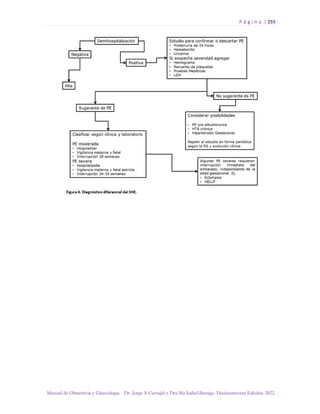 P á g i n a | 255
Manual de Obstetricia y Ginecología. Dr. Jorge A Carvajal y Dra Ma Isabel Barriga. Decimotercera Edición. 2022.
 