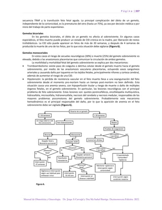 Manual-Obstetricia-y-Ginecologia-2022_compressed.pdf