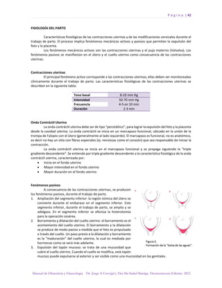 P á g i n a | 42
Manual de Obstetricia y Ginecología. Dr. Jorge A Carvajal y Dra Ma Isabel Barriga. Decimotercera Edición. 2022.
FISIOLOGÍA DEL PARTO
Características fisiológicas de las contracciones uterinas y de las modificaciones cervicales durante el
trabajo de parto. El proceso implica fenómenos mecánicos activos y pasivos que permiten la expulsión del
feto y la placenta.
Los fenómenos mecánicos activos son las contracciones uterinas y el pujo materno (Valsalva). Los
fenómenos pasivos se manifiestan en el útero y el cuello uterino como consecuencia de las contracciones
uterinas.
Contracciones uterinas
El principal fenómeno activo corresponde a las contracciones uterinas; ellas deben ser monitoreadas
clínicamente durante el trabajo de parto. Las características fisiológicas de las contracciones uterinas se
describen en la siguiente tabla:
Tono basal 8-10 mm Hg
Intensidad 50-70 mm Hg
Frecuencia 4-5 en 10 min
Duración 2-3 min
Onda Contráctil Uterina
La onda contráctil uterina debe ser de tipo “peristáltico”, para lograr la expulsión del feto y la placenta
desde la cavidad uterina. La onda contráctil se inicia en un marcapaso funcional, ubicado en la unión de la
trompa de Falopio con el útero (generalmente al lado izquierdo). El marcapaso es funcional, no es anatómico,
es decir no hay un sitio con fibras especiales (ej. nerviosas como el corazón) que sea responsable de iniciar la
contracción.
La onda contráctil uterina se inicia en el marcapaso funcional y se propaga siguiendo la “triple
gradiente descendente”. Se entiende por triple gradiente descendente a la característica fisiológica de la onda
contráctil uterina, caracterizada por:
• Inicio en el fondo uterino
• Mayor intensidad en el fondo uterino
• Mayor duración en el fondo uterino
Fenómenos pasivos
A consecuencia de las contracciones uterinas, se producen
los fenómenos pasivos, durante el trabajo de parto.
1. Ampliación del segmento inferior: la región ístmica del útero se
convierte durante el embarazo en el segmento inferior. Este
segmento inferior, durante el trabajo de parto, se amplia y se
adelgaza. En el segmento inferior se efectúa la histerotomía
para la operación cesárea.
2. Borramiento y dilatación del cuello uterino: el borramiento es el
acortamiento del cuello uterino. El borramiento y la dilatación
se produce de modo pasivo a medida que el feto es propulsado
a través del cuello. Un paso previo a la dilatación y borramiento
es la “maduración” del cuello uterino, la cual es mediada por
hormonas como se verá más adelante.
3. Expulsión del tapón mucoso: se trata de una mucosidad que
cubre el cuello uterino. Cuando el cuello se modifica, este tapón
mucoso puede expulsarse al exterior y ser visible como una mucosidad en los genitales.
 