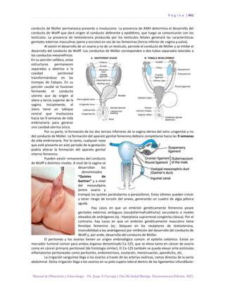 Manual-Obstetricia-y-Ginecologia-2022_compressed.pdf