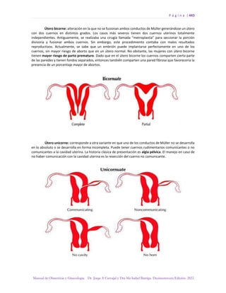 Manual-Obstetricia-y-Ginecologia-2022_compressed.pdf