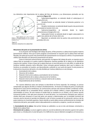 P á g i n a | 48
Manual de Obstetricia y Ginecología. Dr. Jorge A Carvajal y Dra Ma Isabel Barriga. Decimotercera Edición. 2022.
Los diámetros más importantes de la cabeza del feto de término y sus dimensiones promedio son los
siguientes (Figura 12):
• Suboccípito-bregmático: se extiende desde el suboccipucio al
bregma (9,5 cm).
• Occípito-frontal: se extiende desde la fontanela posterior a la
nariz (12 cm).
• Occípito-mentoniano: se extiende desde la parte más prominente
del occipital al mentón (13,5 cm).
• Submento-bregmático: se extiende desde la región
submentoniana al bregma (9,5 cm).
• Suboccípito frontal: se extiende desde la región suboccipital a la
región más saliente de la frente (10,5 cm).
• Biparietal: se extiende entre las partes más prominentes de los
parietales (9,5 cm).
Mecanismo del parto en la presentación de vértice
En la situación más fisiológica del trabajo de parto, el feto presenta su cabeza hacia la pelvis materna
(presentación cefálica). Para que el parto progrese correctamente se requiere que la cabeza fetal esté bien
flectada, de modo que el punto más prominente de la presentación es el occipucio o vértice. A la presentación
cefálica bien flectada se le denomina presentación de vértice.
Como se mencionó anteriormente, para permitir el progreso del trabajo de parto, se requiere que la
cabeza fetal se acomode en la pelvis materna (diámetros menores posibles de la cabeza en los diámetros
mayores de la pelvis). Si bien el paso de la cabeza fetal por el canal del parto es lo más difícil, la salida de los
hombros también presenta cierta dificultad. Como concepto general podemos decir que la cabeza y los
hombros se acomodan en la pelvis, van descendiendo y saliendo en una suerte de espiral. A este proceso se
le denomina mecanismo del parto y ha sido dividido por motivos didácticos en seis tiempos:
1. Acomodación de la cabeza.
2. Descenso de la cabeza.
3. Rotación interna de la cabeza y acomodación de los hombros.
4. Desprendimiento de la cabeza y descenso de los hombros.
5. Rotación interna de los hombros y rotación externa de la cabeza.
6. Desprendimiento de los hombros.
Por razones didácticas estos seis tiempos se describirán en forma separada. Sin embargo, es preciso
comprender que algunos de ellos se realizan simultáneamente. Al iniciarse el trabajo de parto y en particular
después de la rotura de las membranas, las contracciones uterinas más intensas tienden a enderezar al feto,
con cierta pérdida de su convexidad dorsal, aumento de la flexión cefálica y mayor plegamiento de las
extremidades al tronco. De esta manera el ovoide fetal se convierte en un cilindro, con la menor sección
transversal posible y más apta para atravesar el canal del parto. Los movimientos (tiempos) que realiza el
cilindro fetal para atravesar el canal del parto son pasivos y determinados por la actividad contráctil del
músculo uterino durante el período de dilatación y por la fuerza sumada de la contracción uterina y de los
pujos matemos en el período expulsivo. Quien atiende un parto debe conocer perfectamente los tiempos del
mecanismo del parto, para poder valorar adecuadamente su evolución y cooperar, cuando sea necesario.
1. Acomodación de la cabeza. Este primer tiempo se subdivide a su vez en dos sub-tiempos: orientación y
flexión de la cabeza fetal.
Orientación de la cabeza. La sutura sagital se ubica en uno de los diámetros del estrecho superior de la pelvis
para iniciar su introducción al canal del parto. En el 60% de los casos el diámetro escogido es el transverso y
 