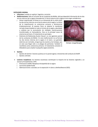 Manual-Obstetricia-y-Ginecologia-2022_compressed.pdf