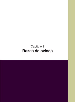 11
Capítulo 2
Razas de ovinos
 