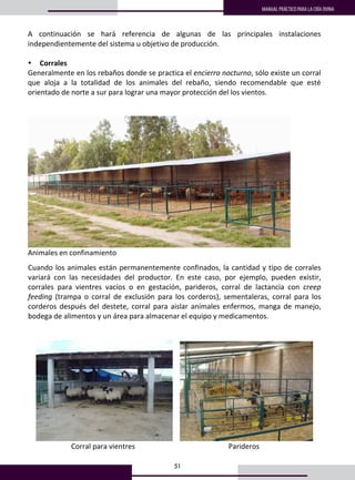51
MANUAL PRÁCTICO PARA LA CRÍA OVINA
Cuando los animales están permanentemente confinados, la cantidad y tipo de corrales 
variará  con  las  necesidades  del  productor.  En  este  caso,  por  ejemplo,  pueden  existir, 
corrales  para  vientres  vacíos  o  en  gestación,  parideros,  corral  de  lactancia  con  creep 
feeding  (trampa  o  corral  de  exclusión  para  los  corderos),  sementaleras,  corral  para  los 
corderos después del destete, corral para aislar animales enfermos, manga de manejo, 
bodega de alimentos y un área para almacenar el equipo y medicamentos. 
 
 
      
                        Corral para vientres                                                    Parideros 
 
 
38
 
             Sistema de producción estabulado 
 
A  continuación  se  hará  referencia  de  algunas  de  las  principales  instalaciones 
independientemente del sistema u objetivo de producción. 
 
• Corrales 
Generalmente en los rebaños donde se practica el encierro nocturno, sólo existe un corral 
que  aloja  a  la  totalidad  de  los  animales  del  rebaño,  siendo  recomendable  que  esté 
orientado de norte a sur para lograr una mayor protección del los vientos. 
 
 
 
Animales en confinamiento 
 