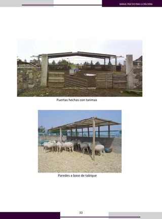 53
MANUAL PRÁCTICO PARA LA CRÍA OVINA
40
• Paredes: Tablones de madera, tarimas, tabique, block, etcétera.  
 
• Cercas: Malla ciclónica, electro soldada o borreguera. Tubos de metal galvanizados, 
postes de madera o concreto. 
 
• Techo: Palma, madera o lámina de cartón, galvanizada, transparente o de asbesto.  
 
 
 
 
Puertas hechas con tarimas 
 
 
 
Paredes a base de tabique 
• Paredes: Tablones de madera, tarimas, tabique, block, etcétera.  
 
• Cercas: Malla ciclónica, electro soldada o borreguera. Tubos de m
postes de madera o concreto. 
 
• Techo: Palma, madera o lámina de cartón, galvanizada, transpare
 
 
 
Puertas hechas con tarimas 
 
 
Paredes a base de tabique 
• Paredes: Tablones de madera, tarimas, tabique, block, etcétera.
 
• Cercas: Malla ciclónica, electro soldada o borreguera. Tubos de 
postes de madera o concreto. 
 
• Techo: Palma, madera o lámina de cartón, galvanizada, transpar
 
 
 
Puertas hechas con tarimas 
 
 
Paredes a base de tabique 
 