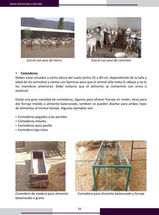56
MANUAL PRÁCTICO PARA LA CRÍA OVINA
                 
              Corral con piso de tierra                                     Corral con piso de concreto 
 
 
• Comederos 
Deben estar situados a cierta altura del suelo (entre 25 y 40 cm, dependiendo de la talla y 
edad de los animales) y contar con barreras para que el animal sólo meta la cabeza y no lo 
los  miembros  anteriores.  Debe  evitarse  que  el  alimento  se  contamine  con  orina  o 
estiércol. 
 
Existe una gran variedad de comederos, algunos para ofrecer forraje sin moler, otros para 
dar forraje molido o alimento balanceado, también se pueden diseñar para ambos tipos 
de alimentos al mismo tiempo. Algunos ejemplos son: 
 
• Comederos pegados a las paredes 
• Comederos móviles 
• Comederos para pasillo 
• Comedero tipo tolva 
 
 
              
Comedero de madera para alimento            Comedero para alimento balanceado y forraje                   
balanceado o grano                        
 
 
 