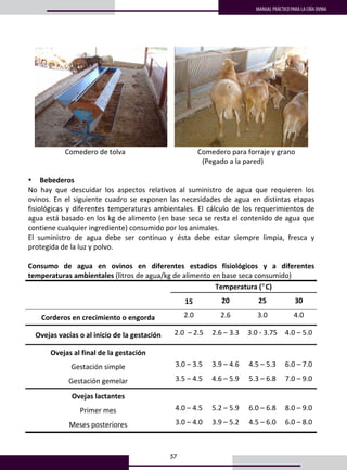 57
MANUAL PRÁCTICO PARA LA CRÍA OVINA
      
                     Comedero de tolva.                                        Comedero para forraje y grano  
                                                                                                   (Pegado a la pared) 
 
• Bebederos 
No  hay  que  descuidar  los  aspectos  relativos  al  suministro  de  agua  que  requieren  los 
ovinos.  En  el  siguiente  cuadro  se  exponen  las  necesidades  de  agua  en  distintas  etapas 
fisiológicas  y  diferentes  temperaturas  ambientales.  El  cálculo  de  los  requerimientos  de 
agua está basado en los kg de alimento (en base seca se resta el contenido de agua que 
contiene cualquier ingrediente) consumido por los animales. 
El  suministro  de  agua  debe  ser  continuo  y  ésta  debe  estar  siempre  limpia,  fresca  y 
protegida de la luz y polvo. 
 
Consumo  de  agua  en  ovinos  en  diferentes  estadios  fisiológicos  y  a  diferentes 
temperaturas ambientales (litros de agua/kg de alimento en base seca consumido)  
  Temperatura (°C) 
  15  20  25  30 
Corderos en crecimiento o engorda  2.0  2.6  3.0  4.0 
Ovejas vacías o al inicio de la gestación  2.0  – 2.5  2.6 – 3.3  3.0 ‐ 3.75  4.0 – 5.0 
Ovejas al final de la gestación         
Gestación simple  3.0 – 3.5  3.9 – 4.6  4.5 – 5.3  6.0 – 7.0 
Gestación gemelar  3.5 – 4.5  4.6 – 5.9  5.3 – 6.8  7.0 – 9.0 
Ovejas lactantes         
Primer mes  4.0 – 4.5  5.2 – 5.9  6.0 – 6.8  8.0 – 9.0 
Meses posteriores  3.0 – 4.0  3.9 – 5.2  4.5 – 6.0  6.0 – 8.0 
 
 
 