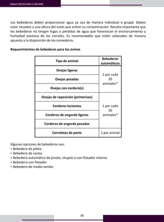 58
MANUAL PRÁCTICO PARA LA CRÍA OVINA
Los  bebederos  deben  proporcionar  agua  ya  sea  de  manera  individual  o  grupal.  Deben 
estar situados a una altura del suelo que eviten su contaminación. Resulta importante que 
los bebederos no tengan fugas o pérdidas de agua que favorezcan el encharcamiento y 
humedad  excesiva  de  los  corrales.  Es  recomendable  que  estén  colocados  de  manera 
opuesta a la disposición de los comederos. 
 
Requerimientos de bebederos para los ovinos 
 
Tipo de animal 
Bebederos 
automáticos 
Ovejas ligeras 
Ovejas pesadas 
Ovejas con cordero(s) 
1 por cada 
20 
animales* 
Ovejas de reposición (primerizas) 
Corderos lactantes 
Corderos de engorda ligeros 
Corderos de engorda pesados 
1 por cada 
50 
animales* 
Corraletas de parto  1 por animal 
 
Algunas opciones de bebederos son: 
• Bebedero de pileta 
• Bebedero de canoa 
• Bebedero automático de pivote, chupón o con flotador interno 
• Bebedero con flotador 
• Bebedero de medio tambo 
 
 
 