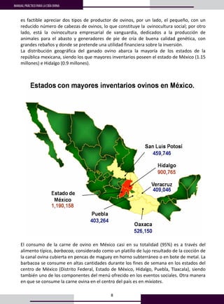 8
MANUAL PRÁCTICO PARA LA CRÍA OVINA 4
4
es factible apreciar dos tipos de productor de ovinos, por un lado, el pequeño, con un 
reducido número de cabezas de ovinos, lo que constituye la Ovinocultura social; por otro 
lado,  está  la  Ovinocultura  empresarial  de  vanguardia,  dedicados  a  la  producción  de 
animales  para  el  abasto  y  generadores  de  pie  de  cría  de  buena  calidad  genética,  con 
grandes rebaños y donde se pretende una utilidad financiera sobre la inversión.  
La  distribución  geográfica  del  ganado  ovino  abarca  la  mayoría  de  los  estados  de  la 
república mexicana, siendo los que mayores inventarios poseen el estado de México (1.15 
millones) e Hidalgo (0.9 millones).  
 
 
 
 
El  consumo  de  la  carne  de  ovino  en  México  casi  en  su  totalidad  (95%)  es  a  través  del 
alimento típico, barbacoa, considerado como un platillo de lujo resultado de la cocción de 
la canal ovina cubierta en pencas de maguey en horno subterráneo o en bote de metal. La 
barbacoa se consume en altas cantidades durante los fines de semana en los estados del 
centro de México (Distrito Federal, Estado de México, Hidalgo, Puebla, Tlaxcala), siendo 
también uno de los componentes del menú ofrecido en los eventos sociales. Otra manera 
en que se consume la carne ovina en el centro del país es en mixiotes.  
o
o
 