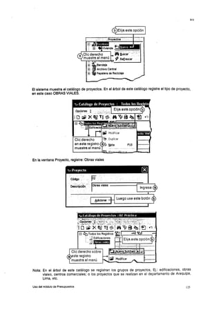 Manual s10-presupuestos-11935