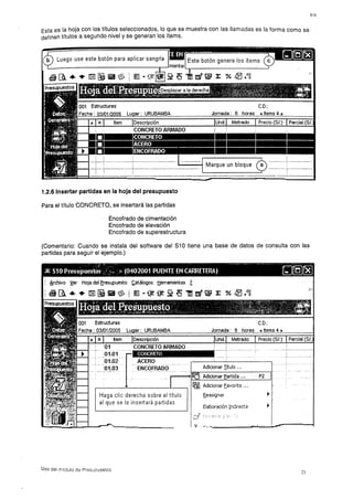 Manual s10-presupuestos-11935
