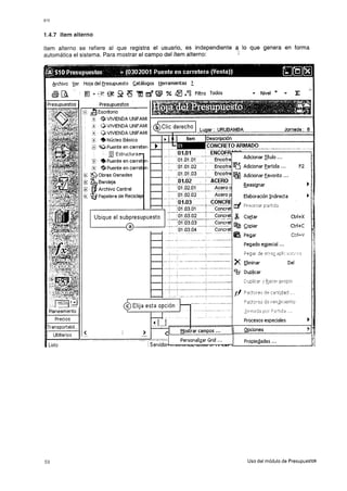 Manual s10-presupuestos-11935