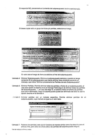 Manual s10-presupuestos-11935