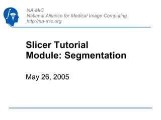 Slicer Tutorial Module: Segmentation May 26, 2005 