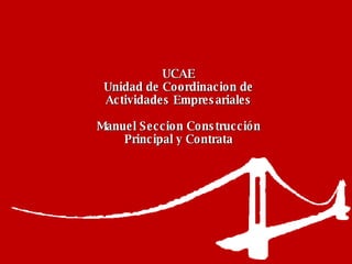 UCAE Unidad de Coordinacion de Actividades Empresariales Manuel Seccion Construcción Principal y Contrata 
