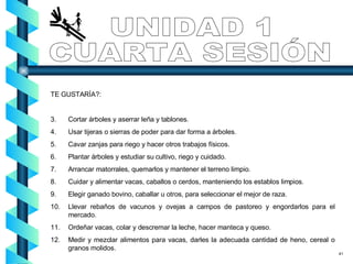 TE GUSTARÍA?: Cortar árboles y aserrar leña y tablones. Usar tijeras o sierras de poder para dar forma a árboles. Cavar zanjas para riego y hacer otros trabajos físicos. Plantar árboles y estudiar su cultivo, riego y cuidado. Arrancar matorrales, quemarlos y mantener el terreno limpio. Cuidar y alimentar vacas, caballos o cerdos, manteniendo los establos limpios. Elegir ganado bovino, caballar u otros, para seleccionar el mejor de raza. Llevar rebaños de vacunos y ovejas a campos de pastoreo y engordarlos para el mercado. Ordeñar vacas, colar y descremar la leche, hacer manteca y queso. Medir y mezclar alimentos para vacas, darles la adecuada cantidad de heno, cereal o granos molidos. UNIDAD 1 CUARTA SESIÓN 41 