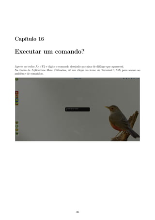 Capítulo 16
Executar um comando?
Aperte as teclas Alt+F2 e digite o comando desejado na caixa de diálogo que aparecerá.
Na Barra de Aplicativos Mais Utilizados, dê um clique no ícone do Terminal UNIX para acesso ao
ambiente de comandos.
36
 